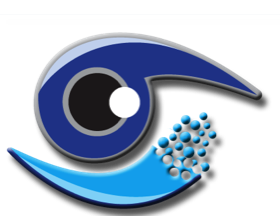 VisionIDZLogo